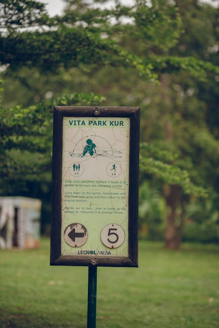 Close up of car keys and a modern vehicle